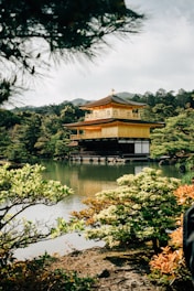 a person standing in front of a pond with a pagoda in the background