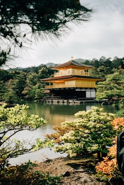 a person standing in front of a pond with a pagoda in the background