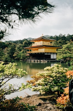 a person standing in front of a pond with a pagoda in the background