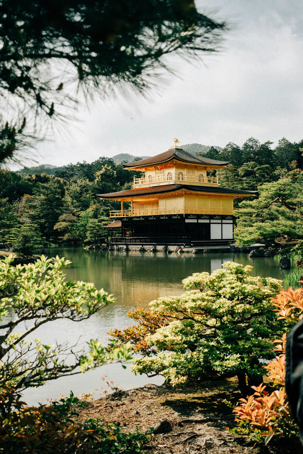 a person standing in front of a pond with a pagoda in the background