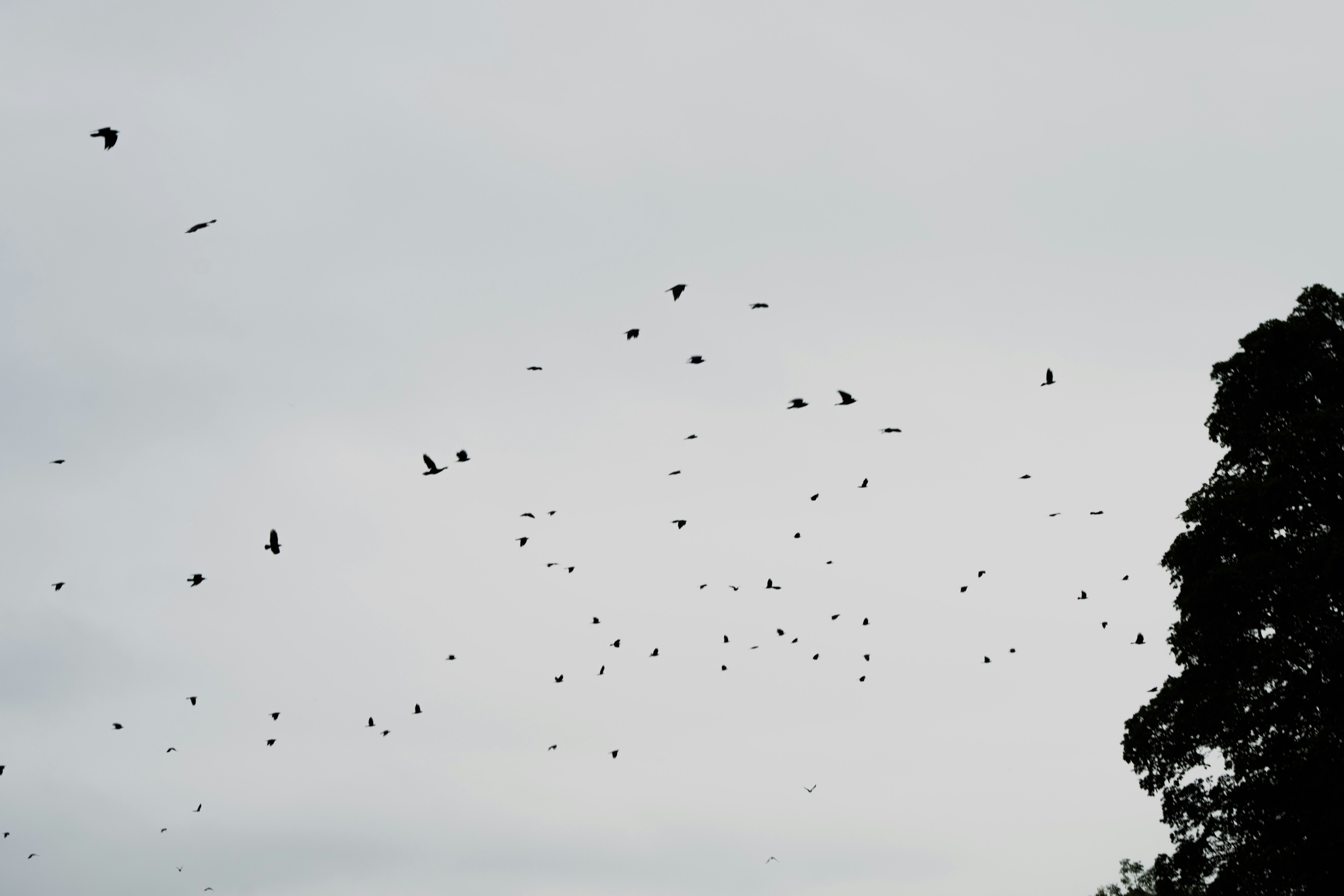 Photo by winstontjia