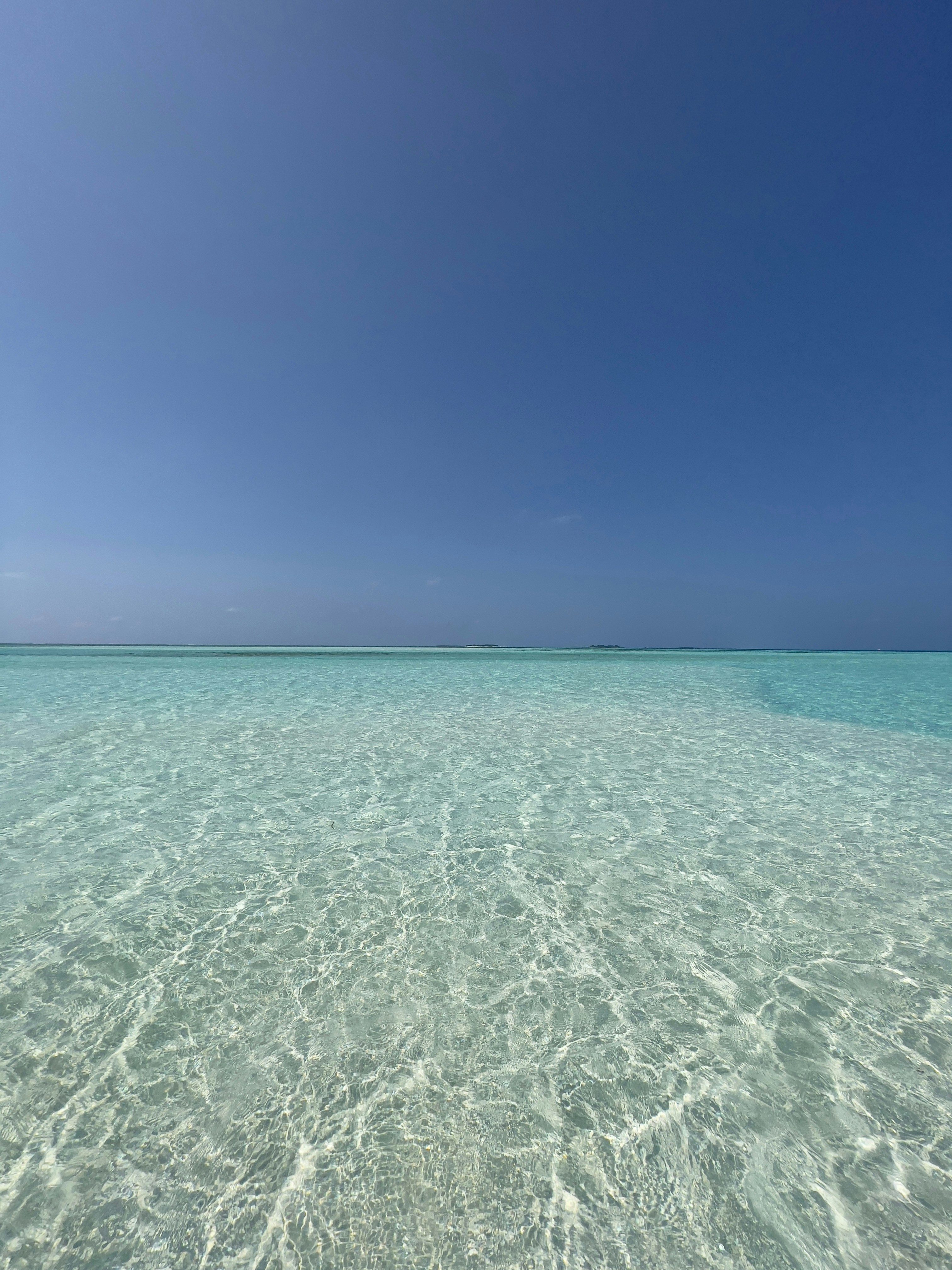 緑の海の風景写真の写真 – Unsplashの海の無料画像