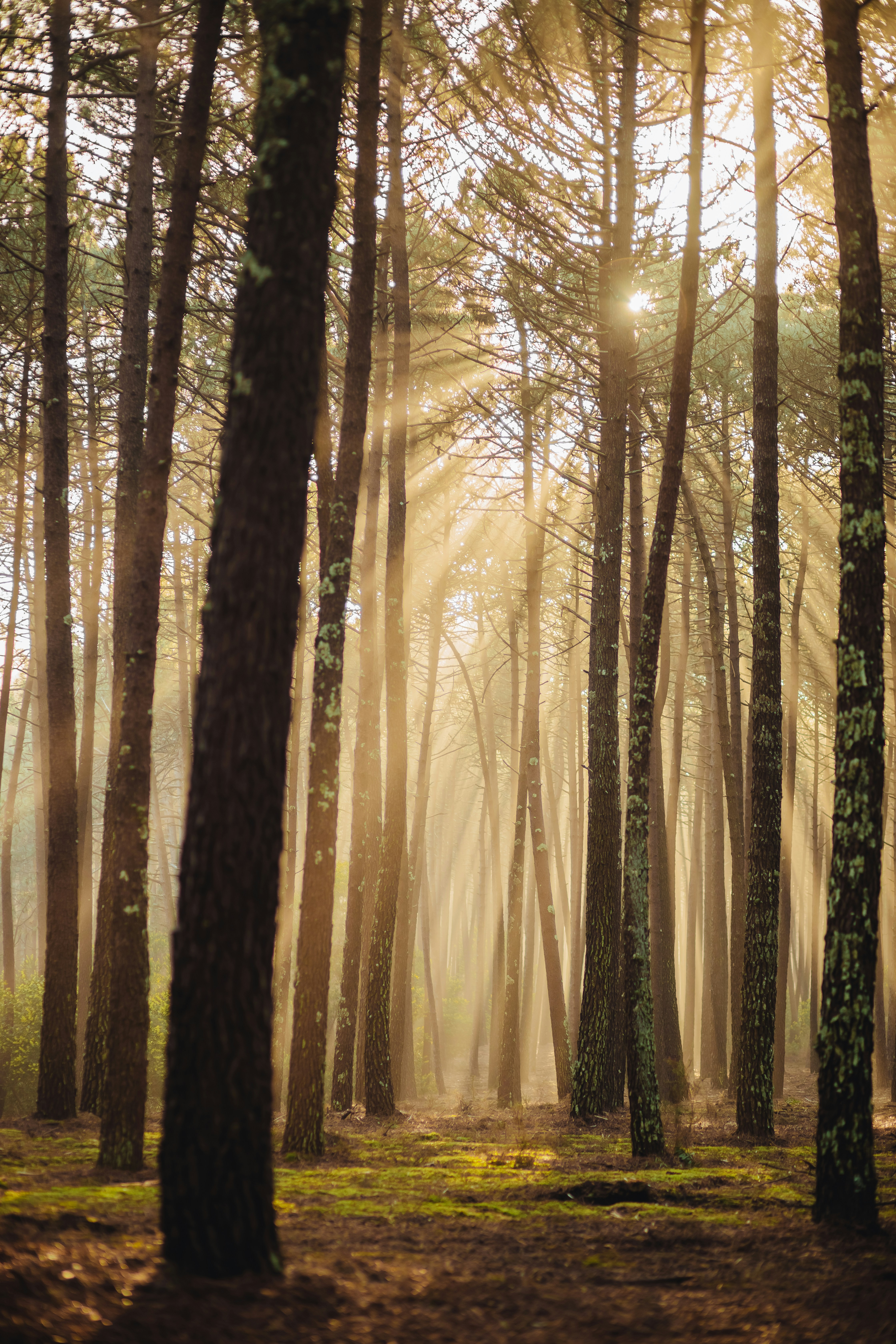 Photo by natashaga97