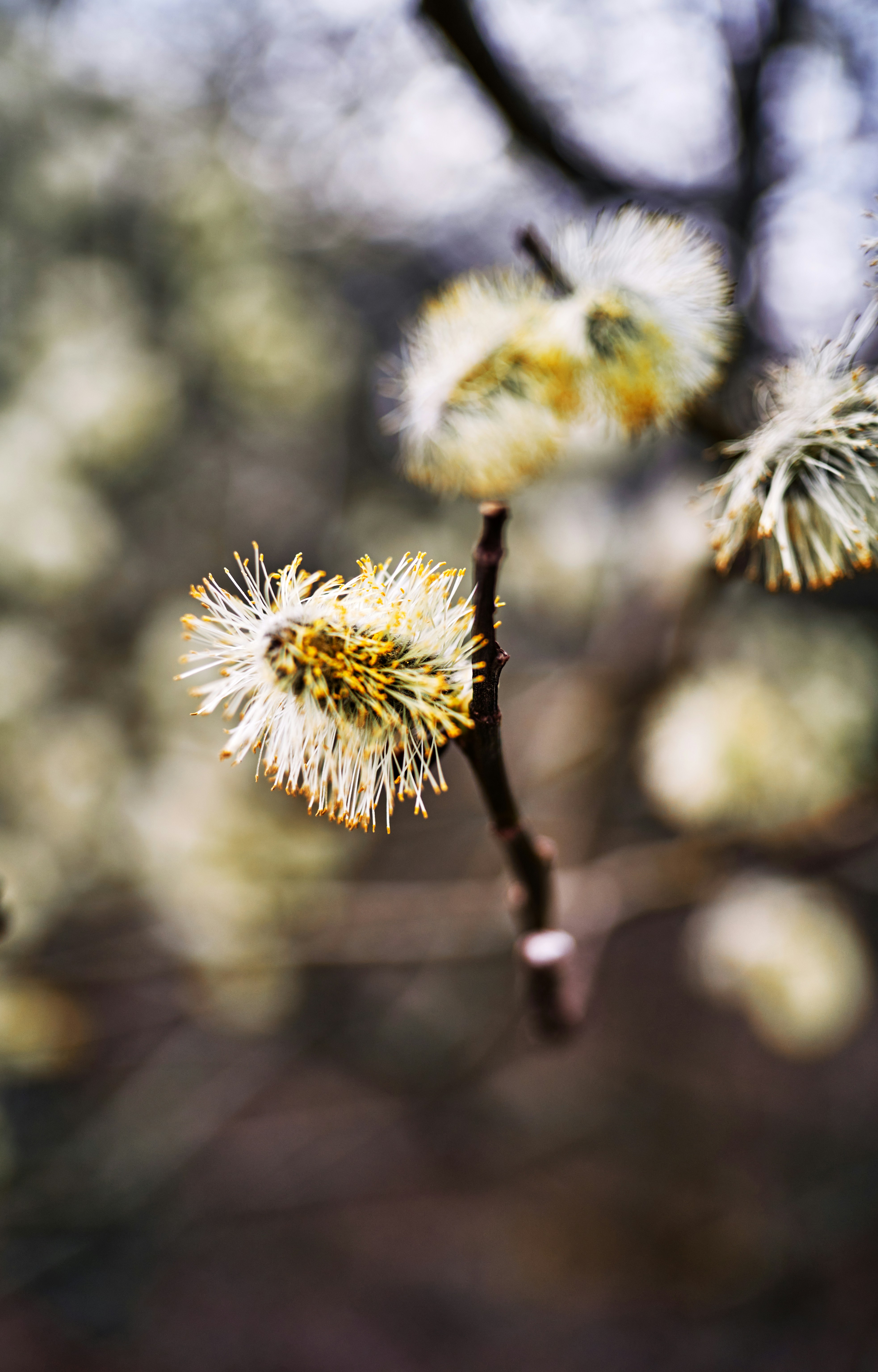 Photo by marcus_ganahl