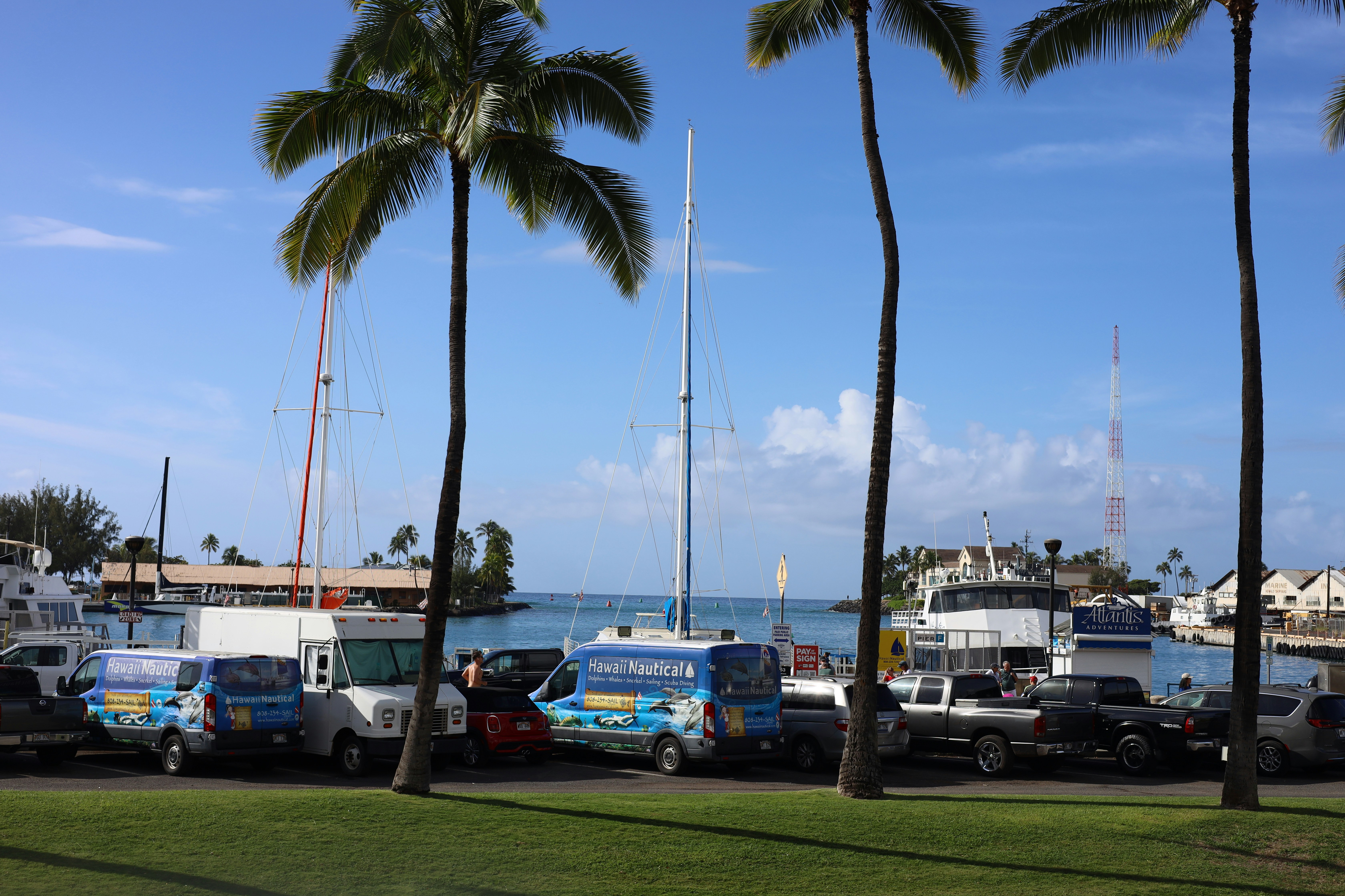 a group of trucks parked next to each other in a parking lot