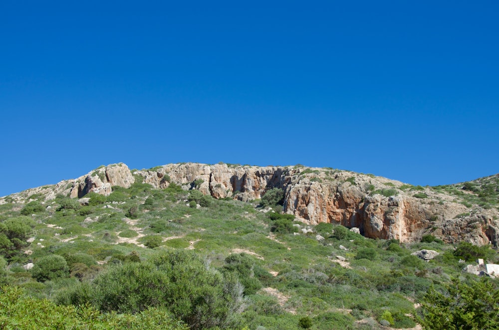 a rocky mountain with trees and bushes in the foreground