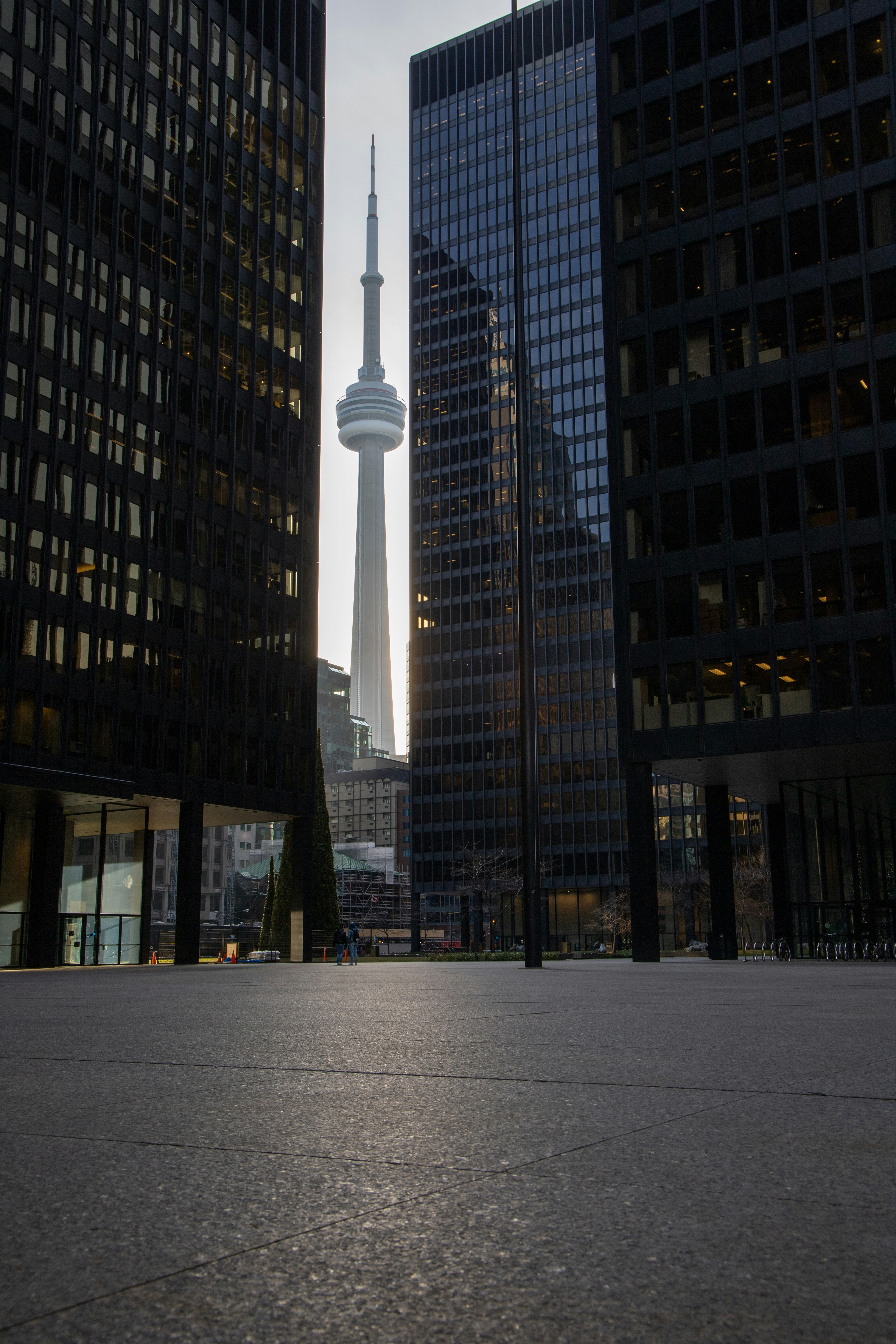 a view of the cn tower in the distance