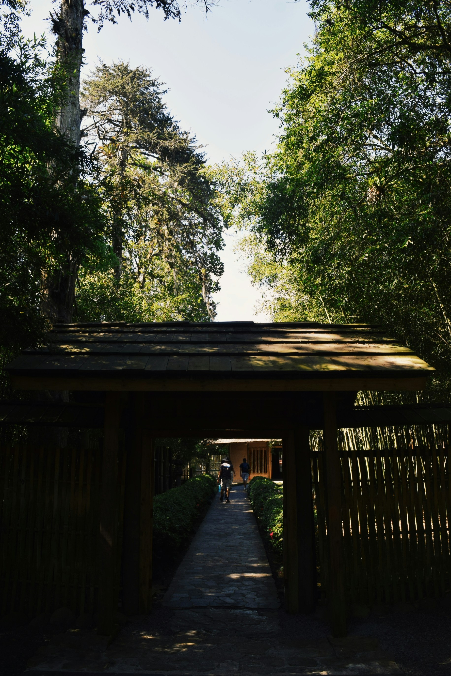 Photo by the_blue_andromeda