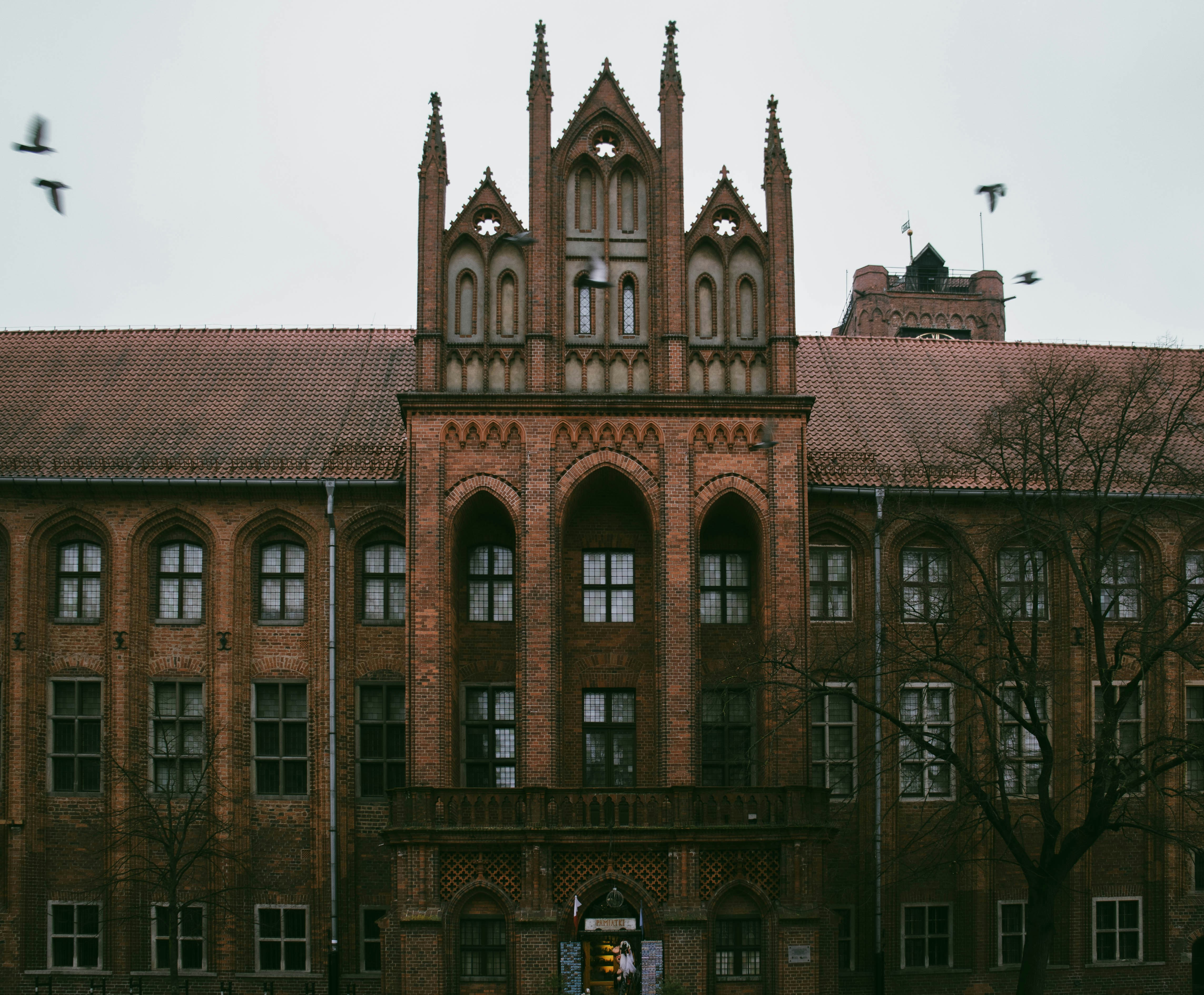 別再只會唸校名！文化大學這幾點，保證讓你跌破眼鏡！
