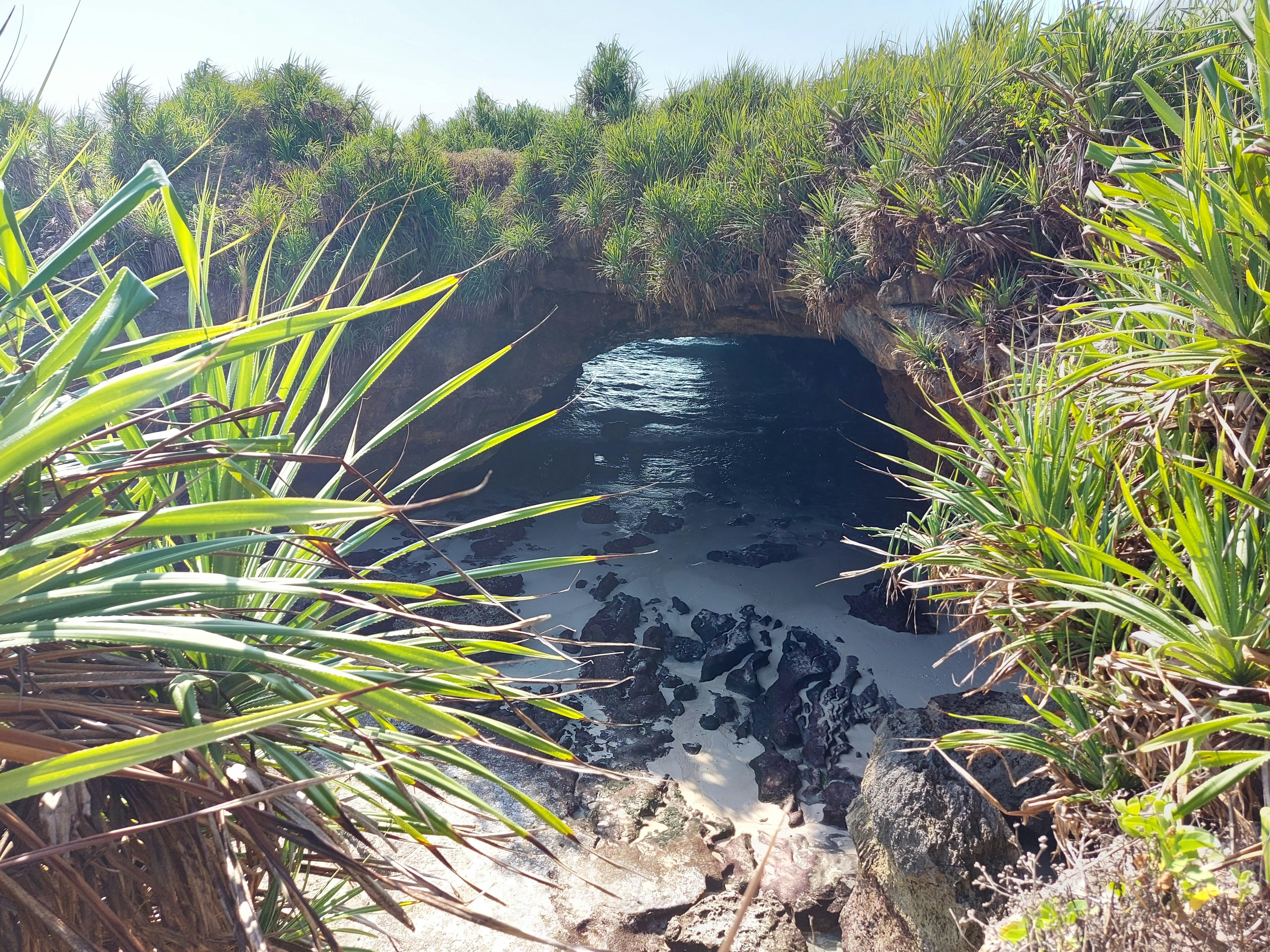 Six-Time Champion Rutter Reveals Bog Snorkelling Secret