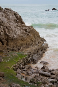 a rocky shore with a body of water in the distance