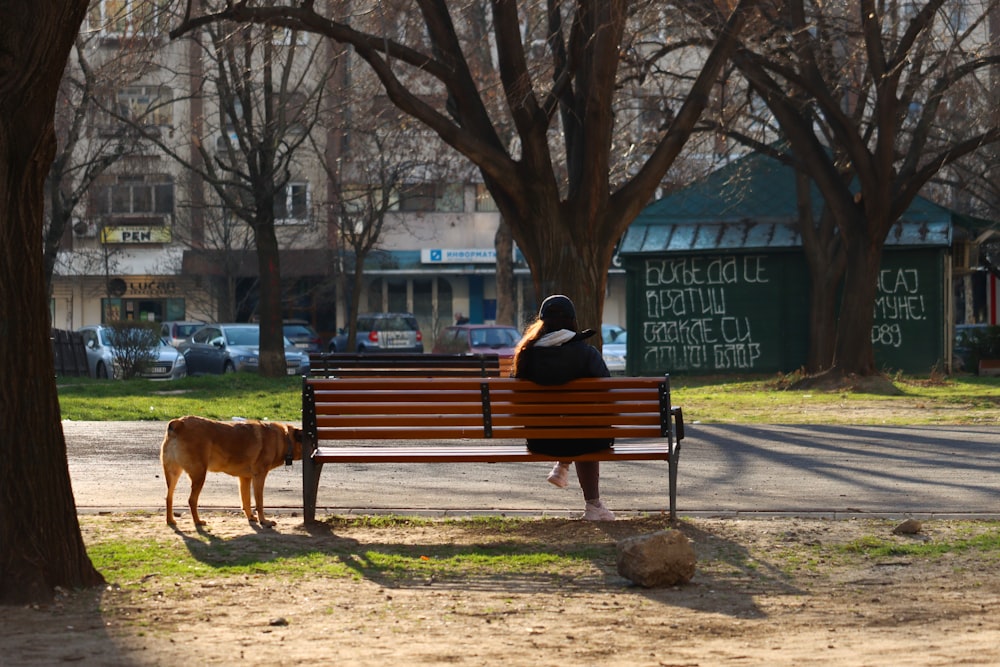 a woman sitting on a park bench next to a dog