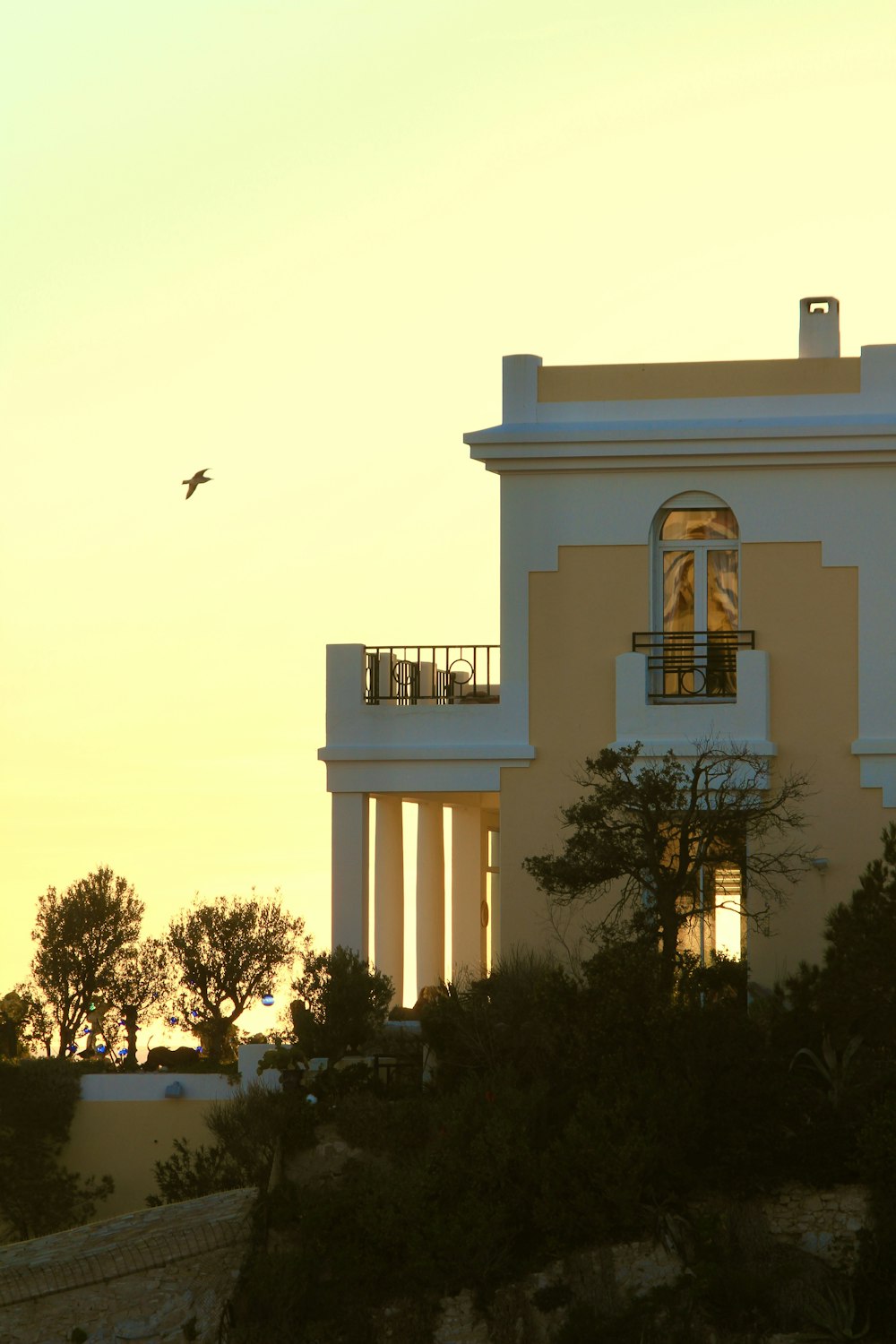 a bird flying in front of a large building