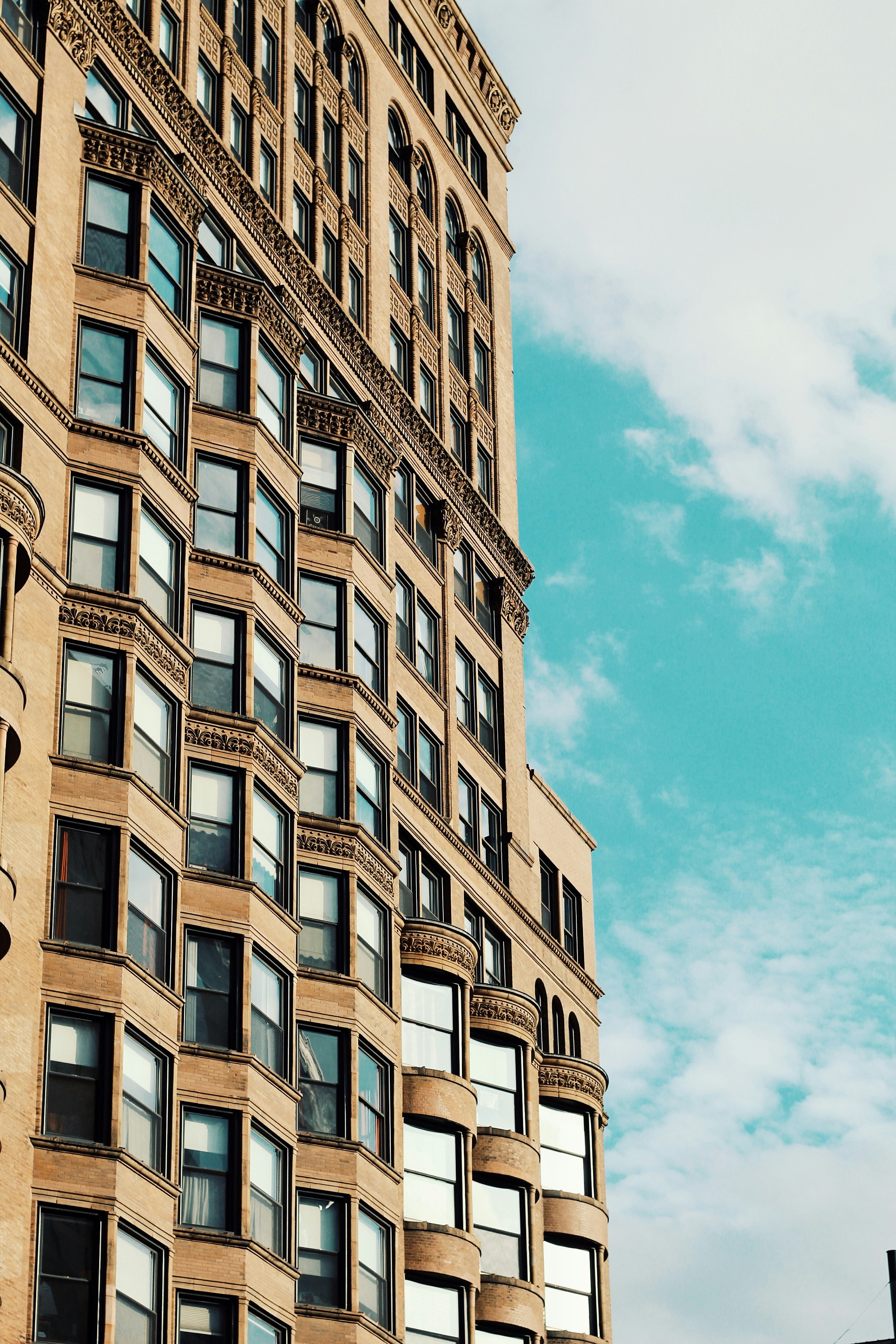 Photo by gracetraleephotography