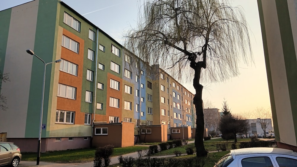 a tree in front of a multi - colored building