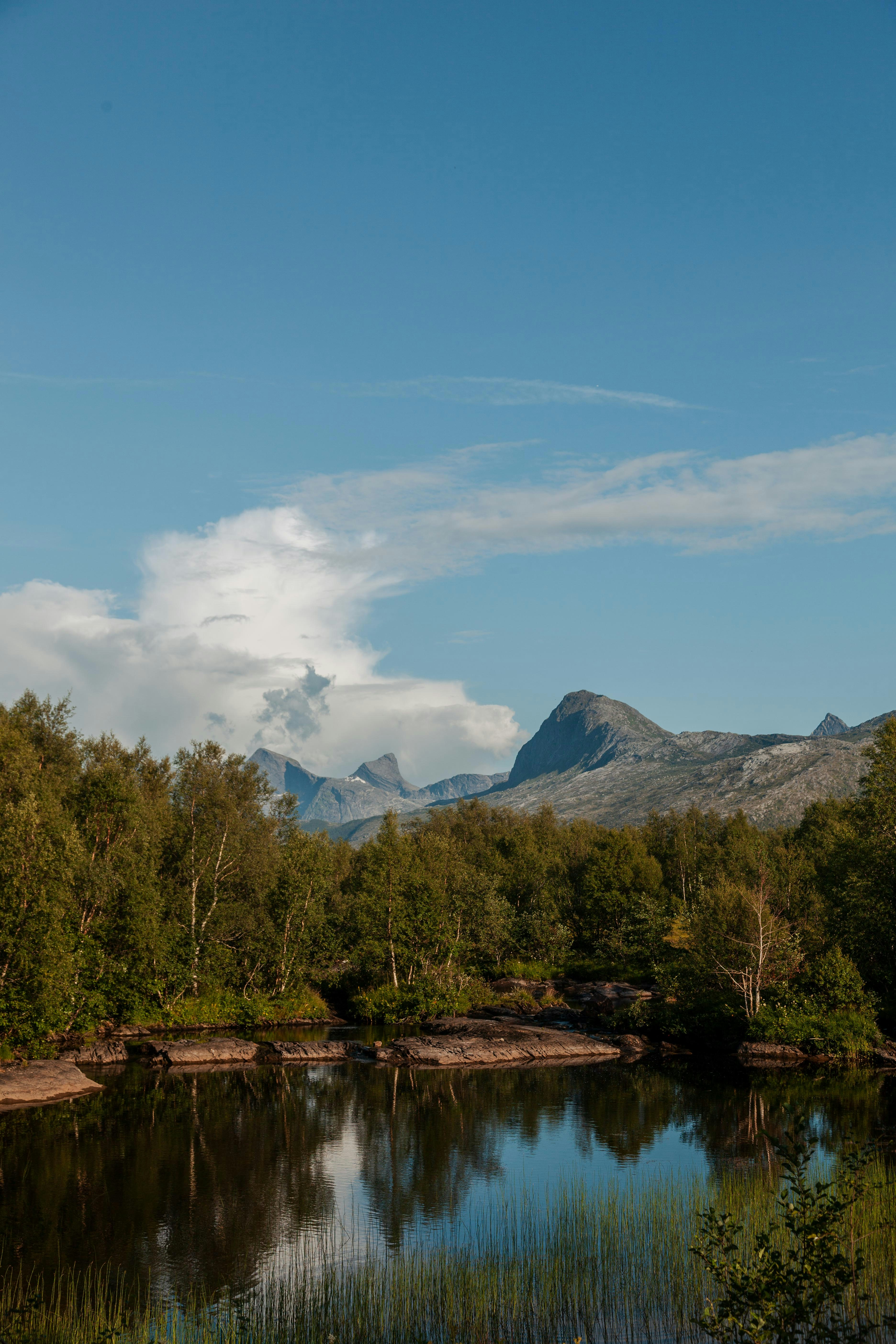 a lake surrounded by trees with mountains in the background