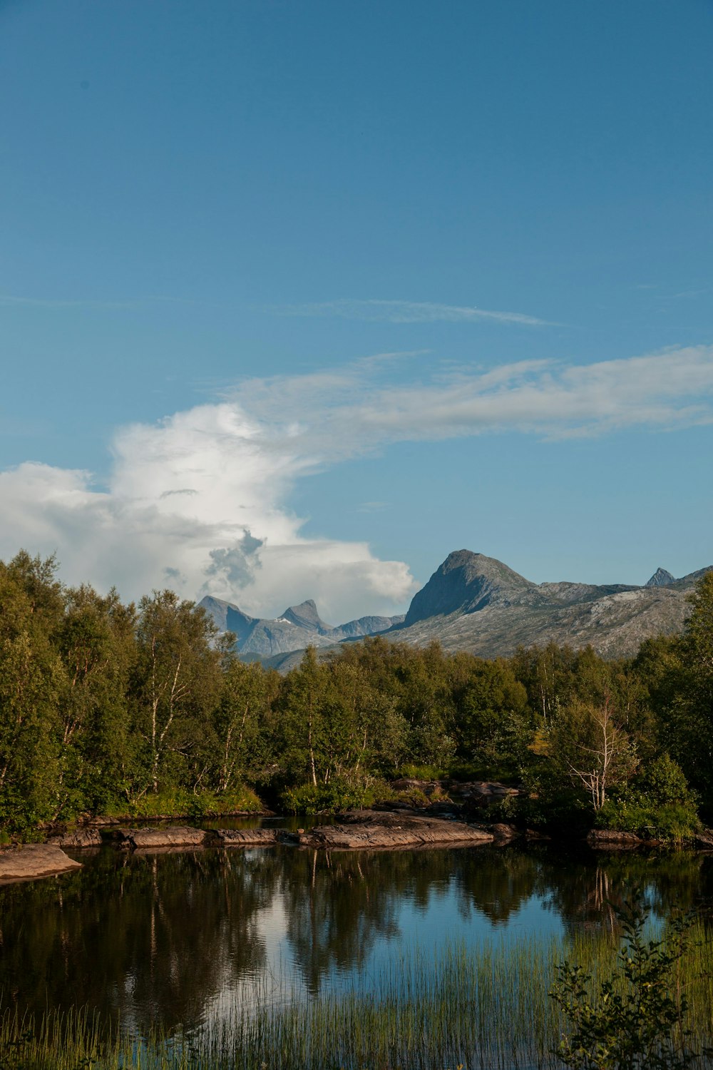 a lake surrounded by trees with mountains in the background