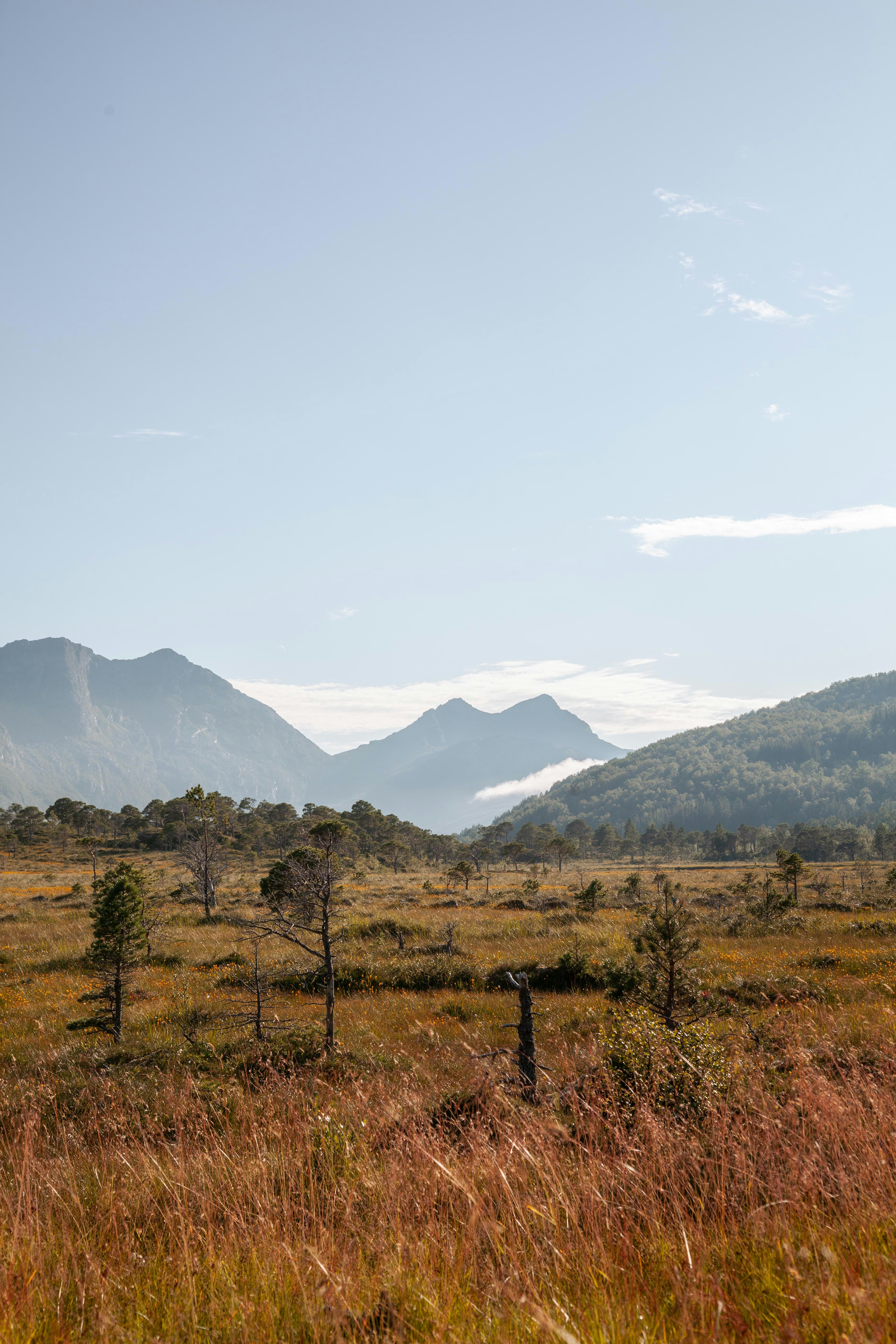 Photo by lissmariejakobsen