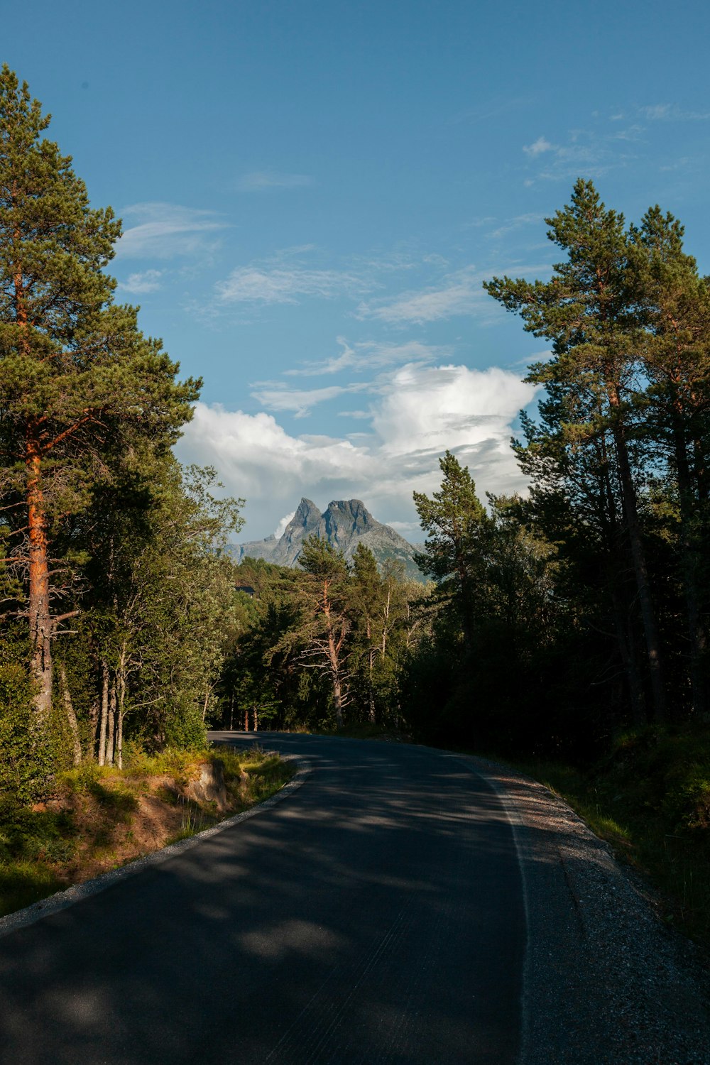 uma estrada com árvores e montanhas ao fundo