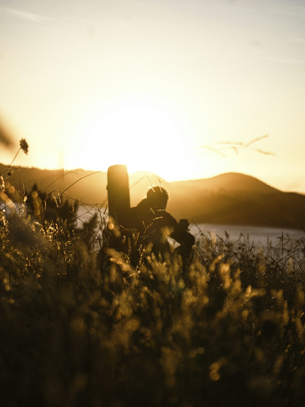 une personne assise dans un champ au coucher du soleil