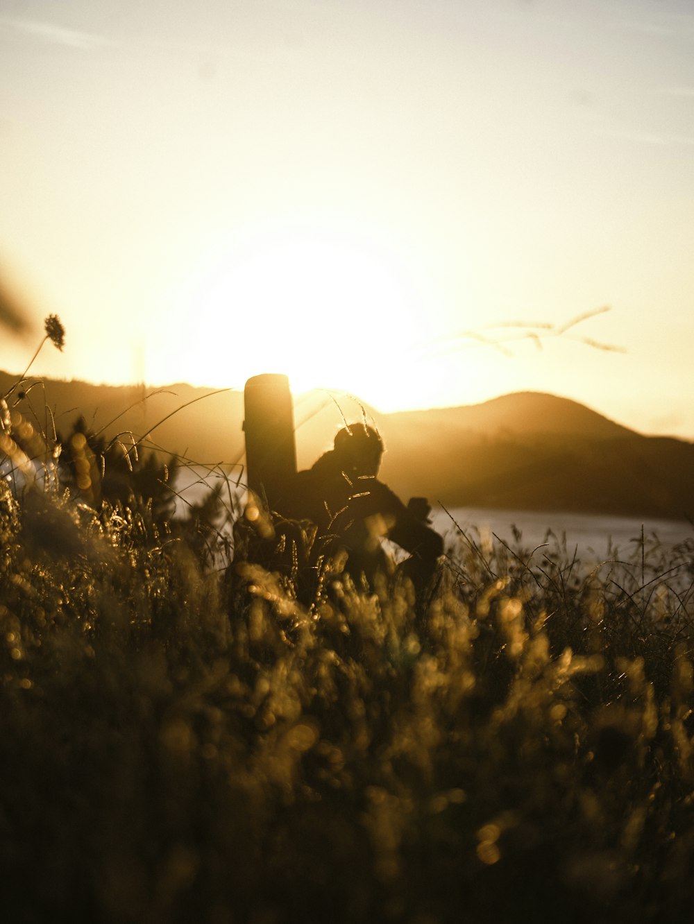 a person sitting in a field at sunset