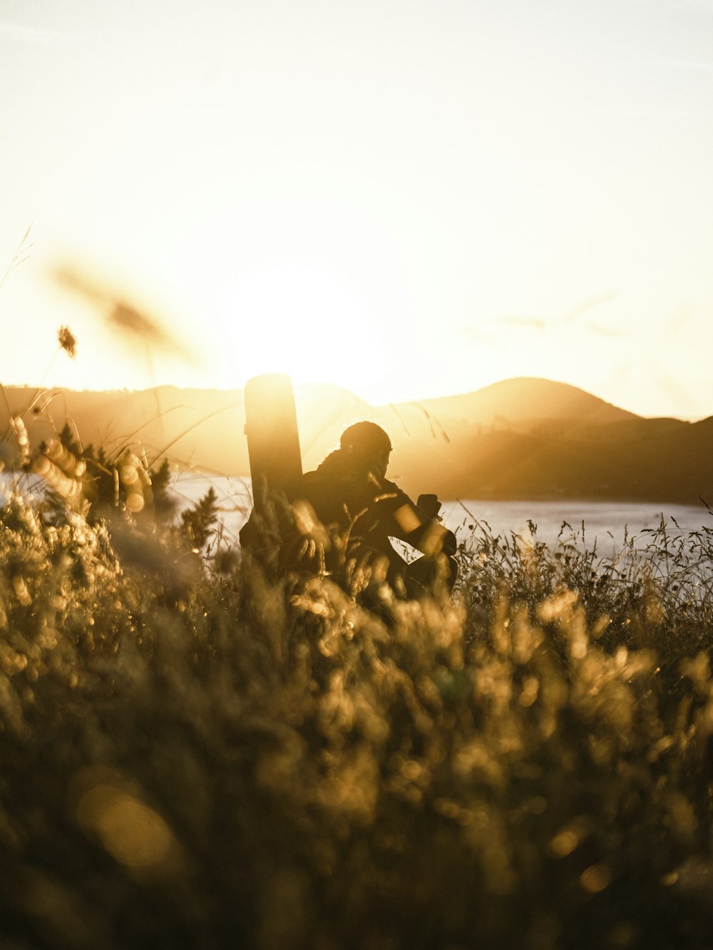 a person sitting in a field next to a body of water