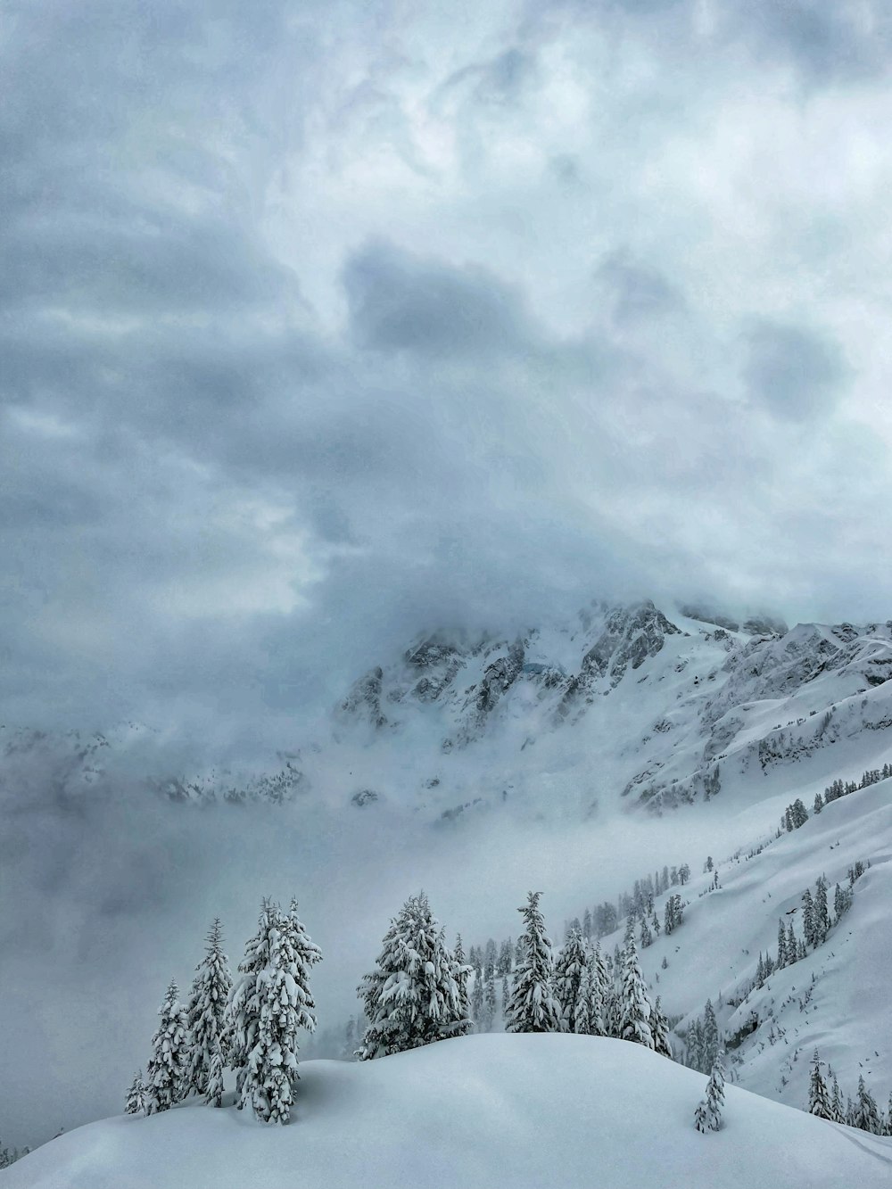 a snowy mountain covered in trees and clouds