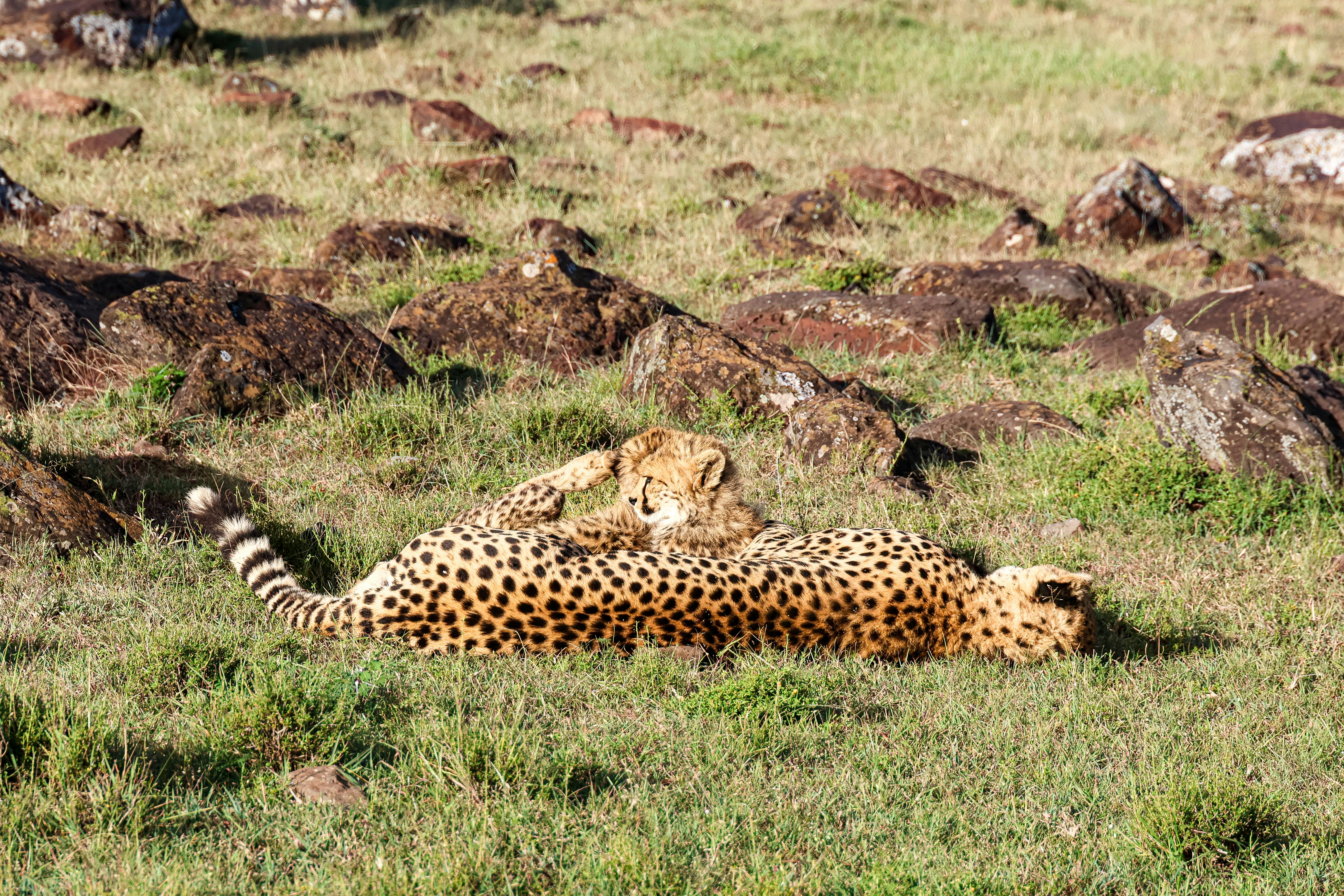 Photo by traveleroohlala