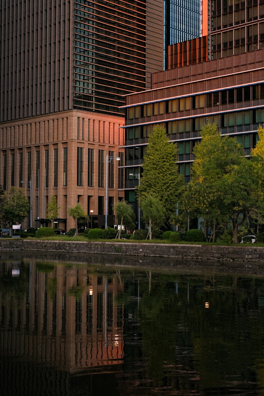 a body of water surrounded by tall buildings