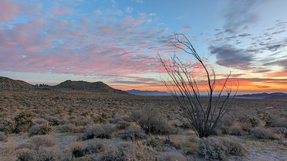a desert landscape with a sunset in the background