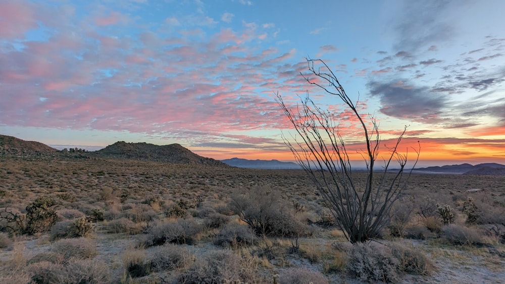 un paysage désertique avec un coucher de soleil en arrière-plan