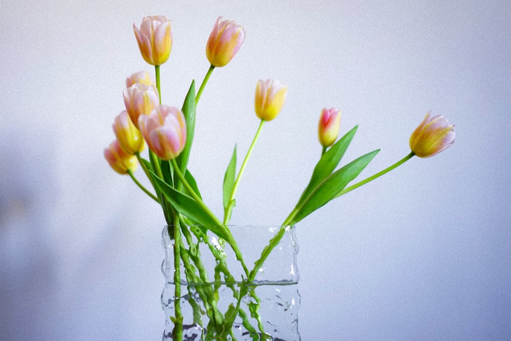 a vase filled with pink and yellow flowers