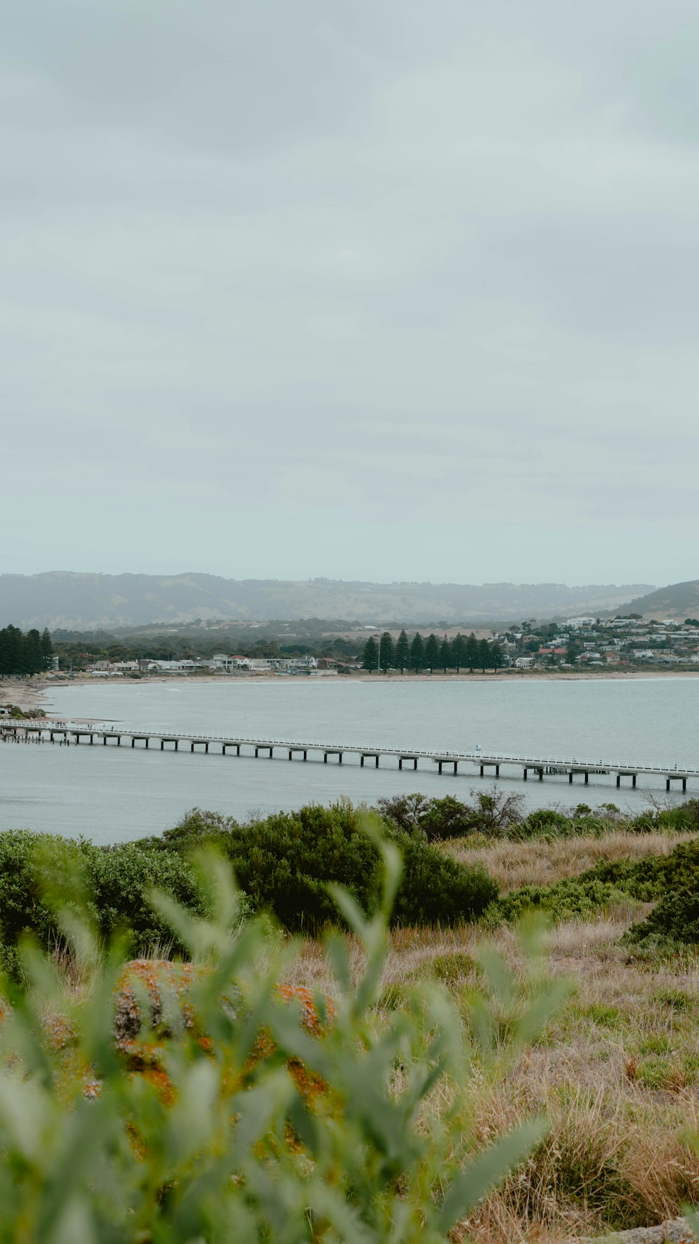 a large body of water with a bridge in the background