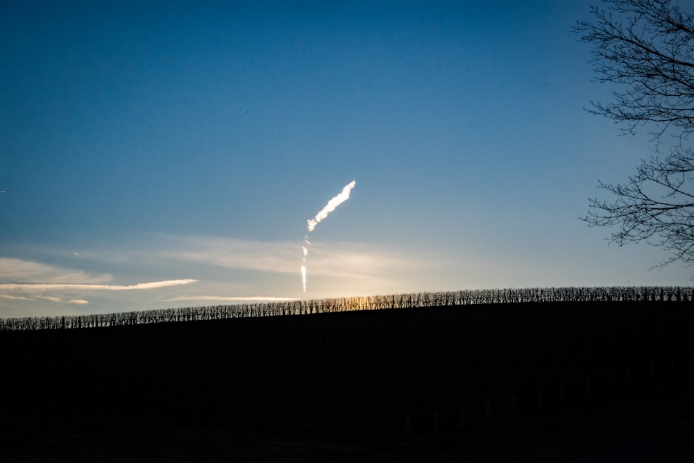 the sun is shining behind a tree in a field