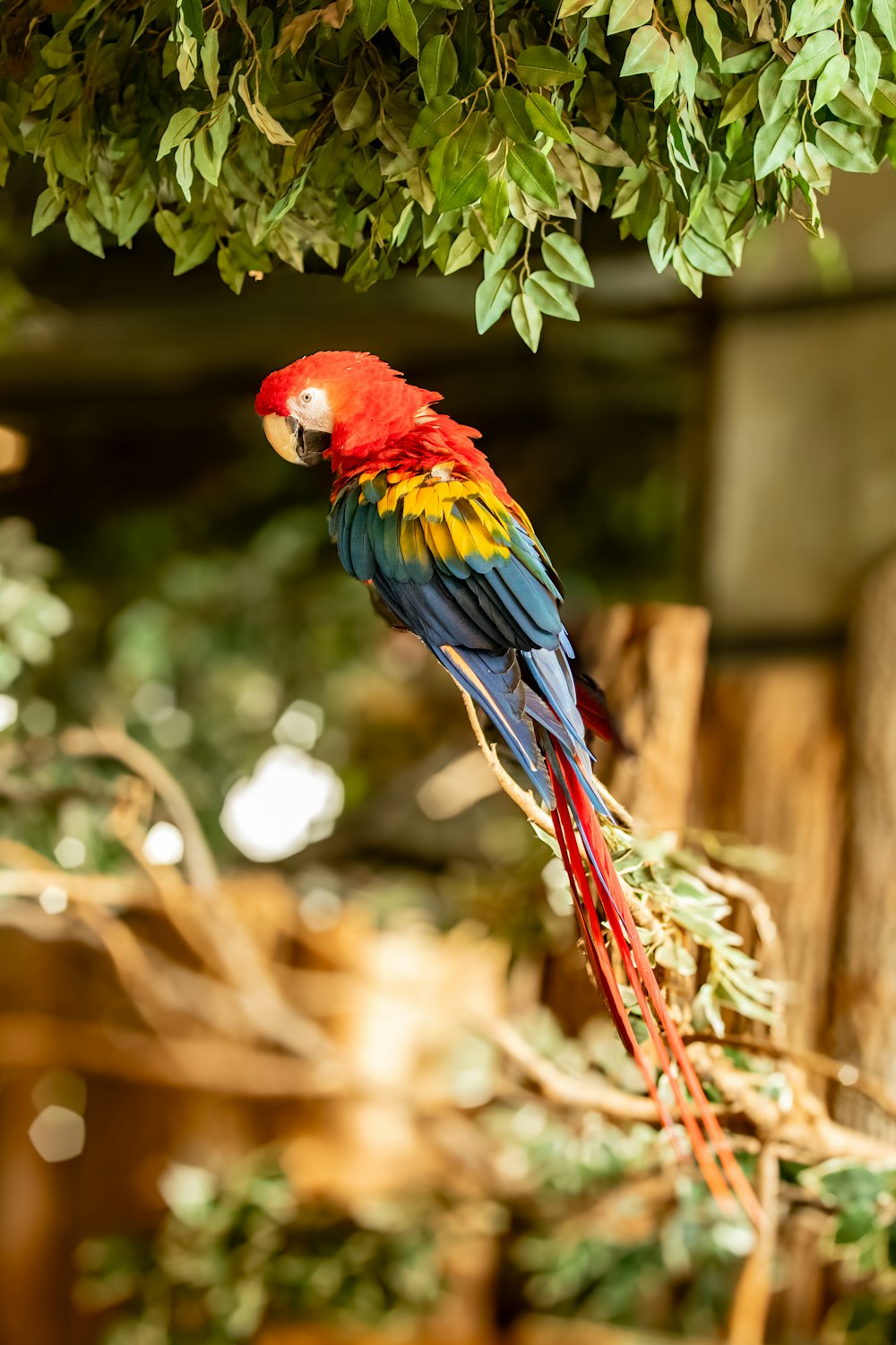 a colorful bird perched on top of a tree branch