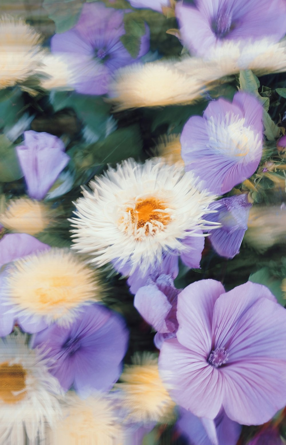 un bouquet de fleurs violettes et blanches dans un champ