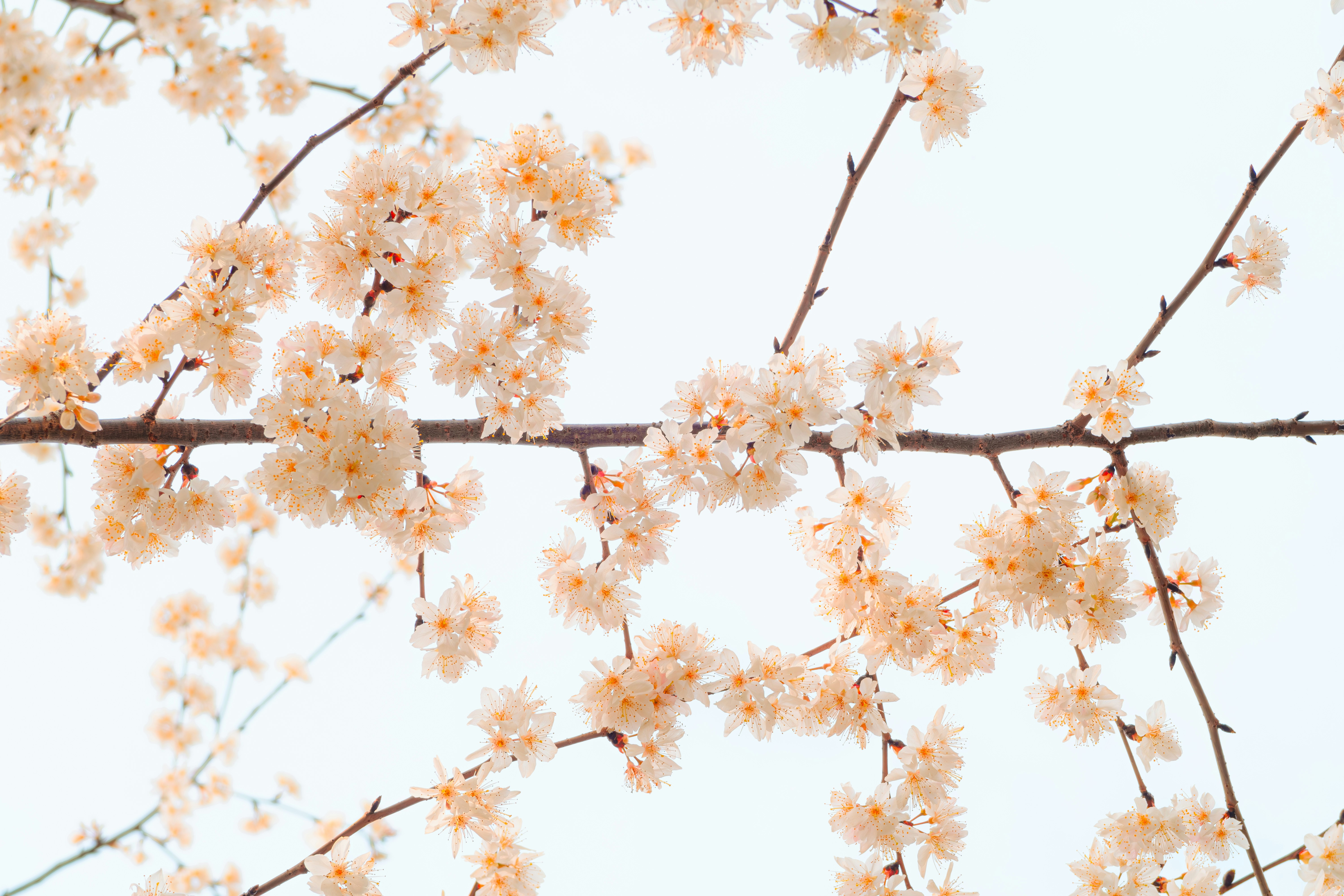 Photo by xiexianghua