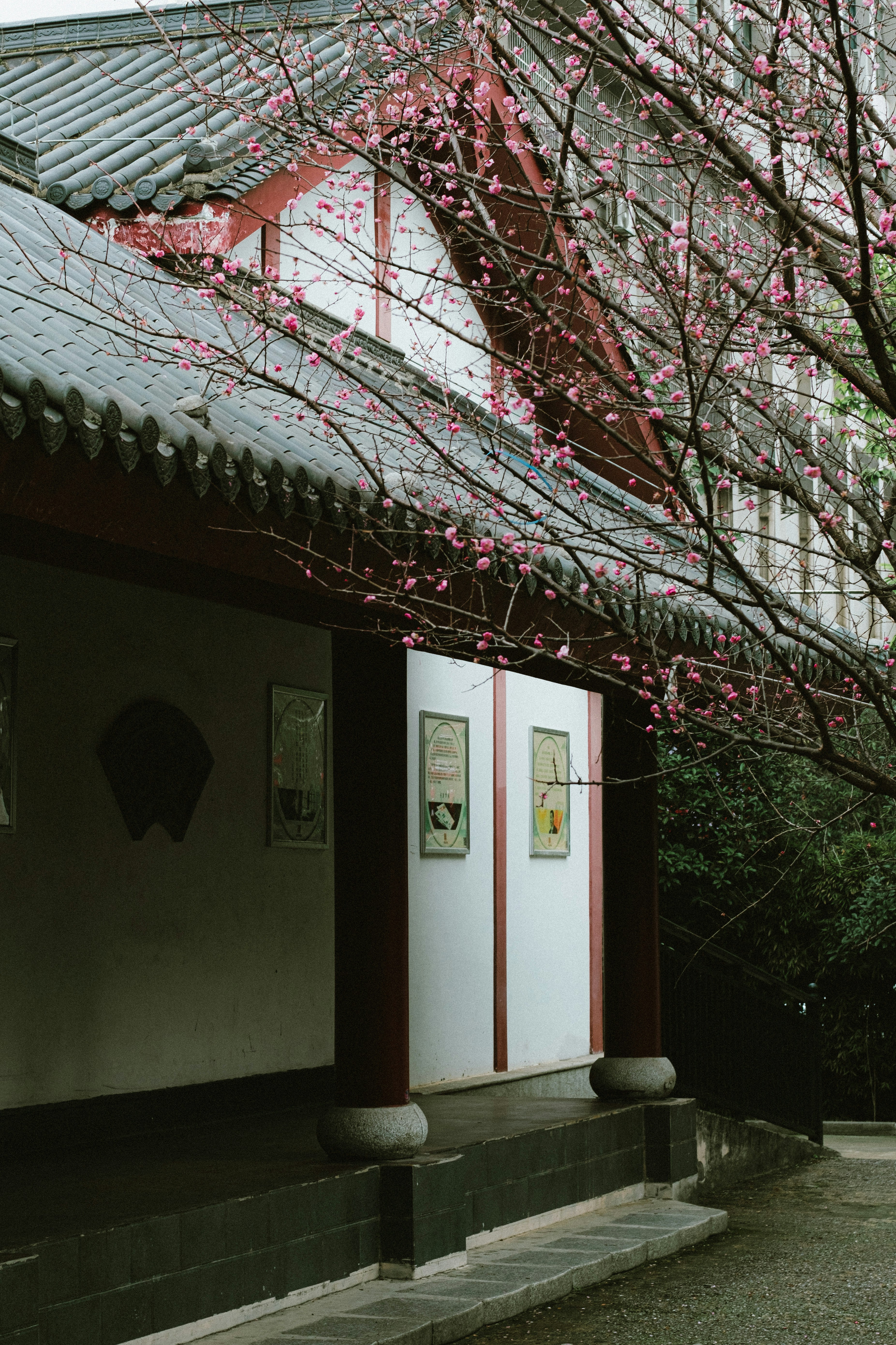 Photo by xiexianghua