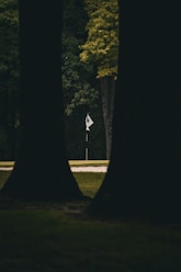 a street sign in the middle of a park