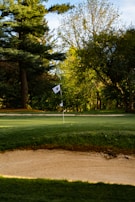 a person on a golf course holding a flag
