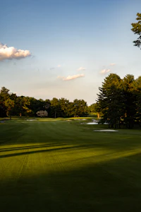 Golfgrün im Abendlicht