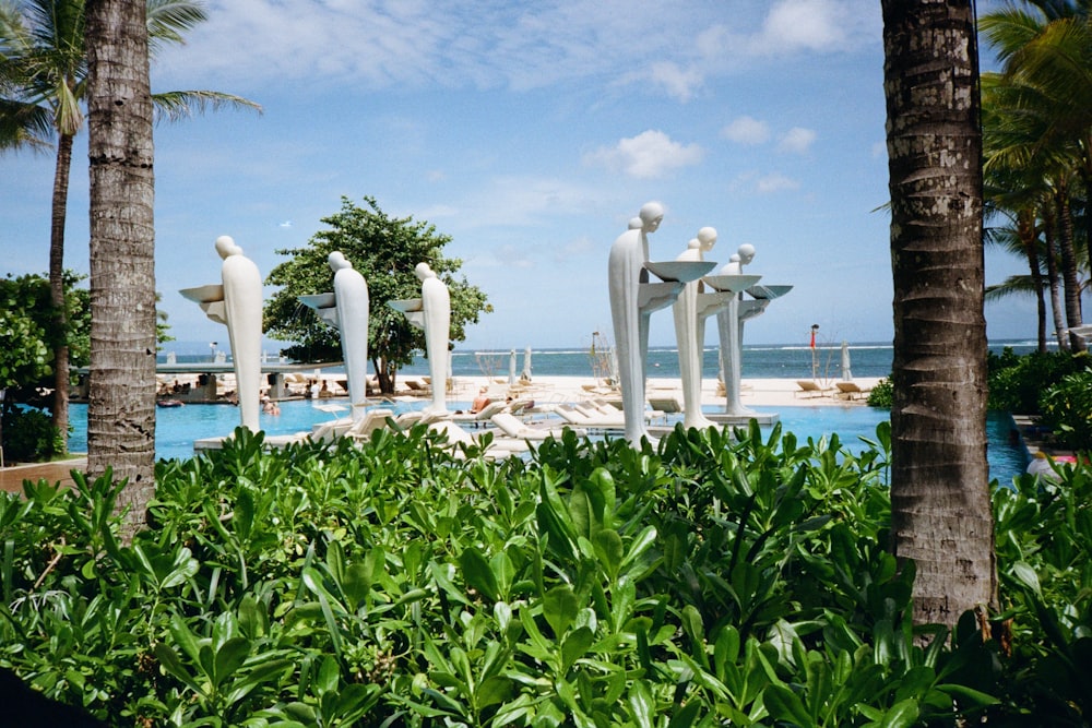 a large pool surrounded by palm trees next to the ocean