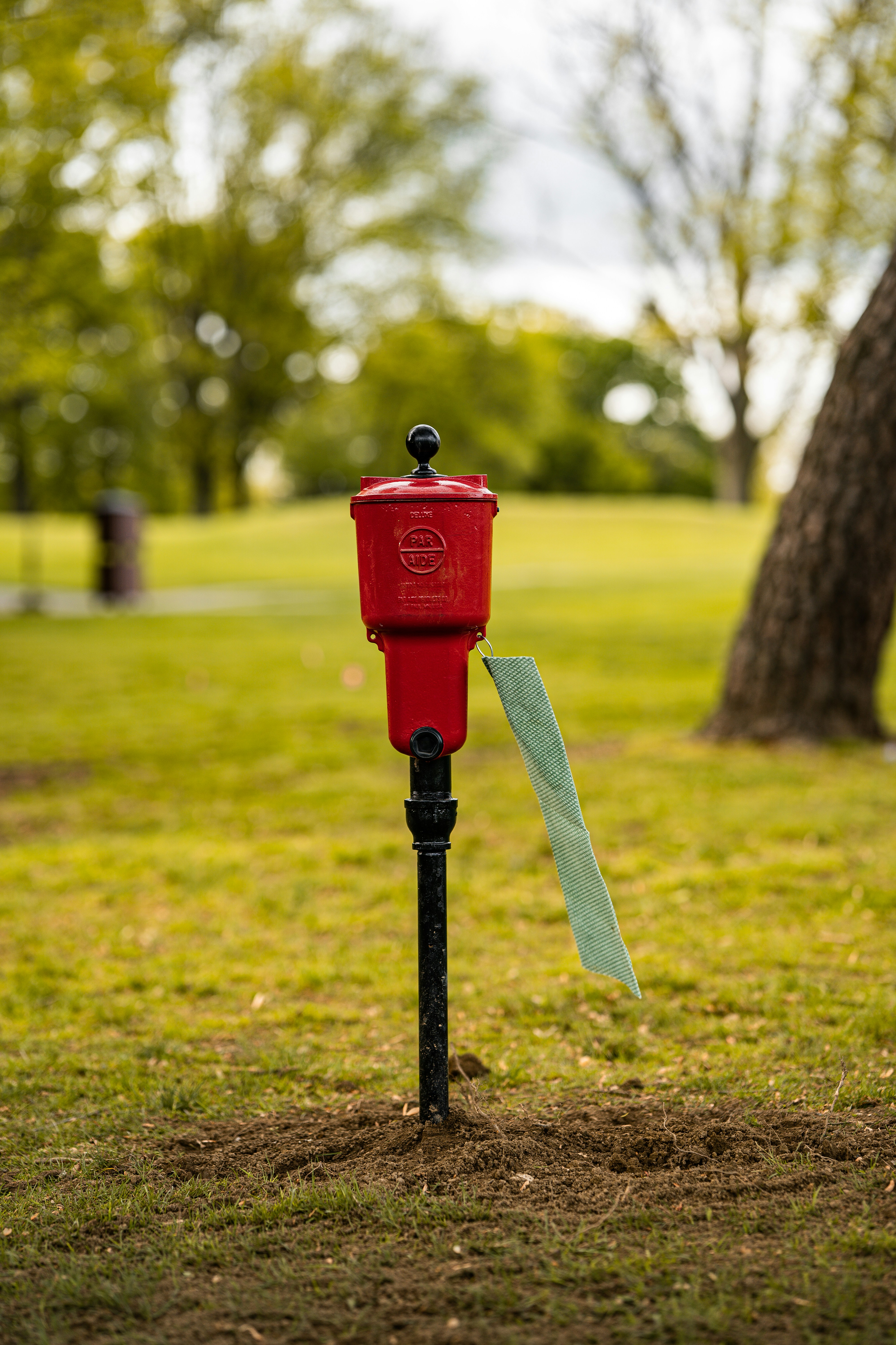 草原の上に鎮座する赤い郵便受け