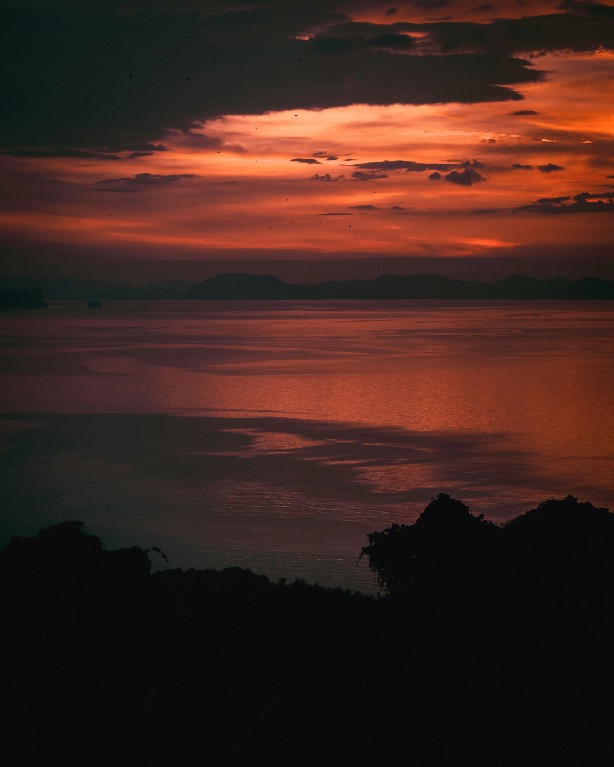 Photo by danilenkodanila