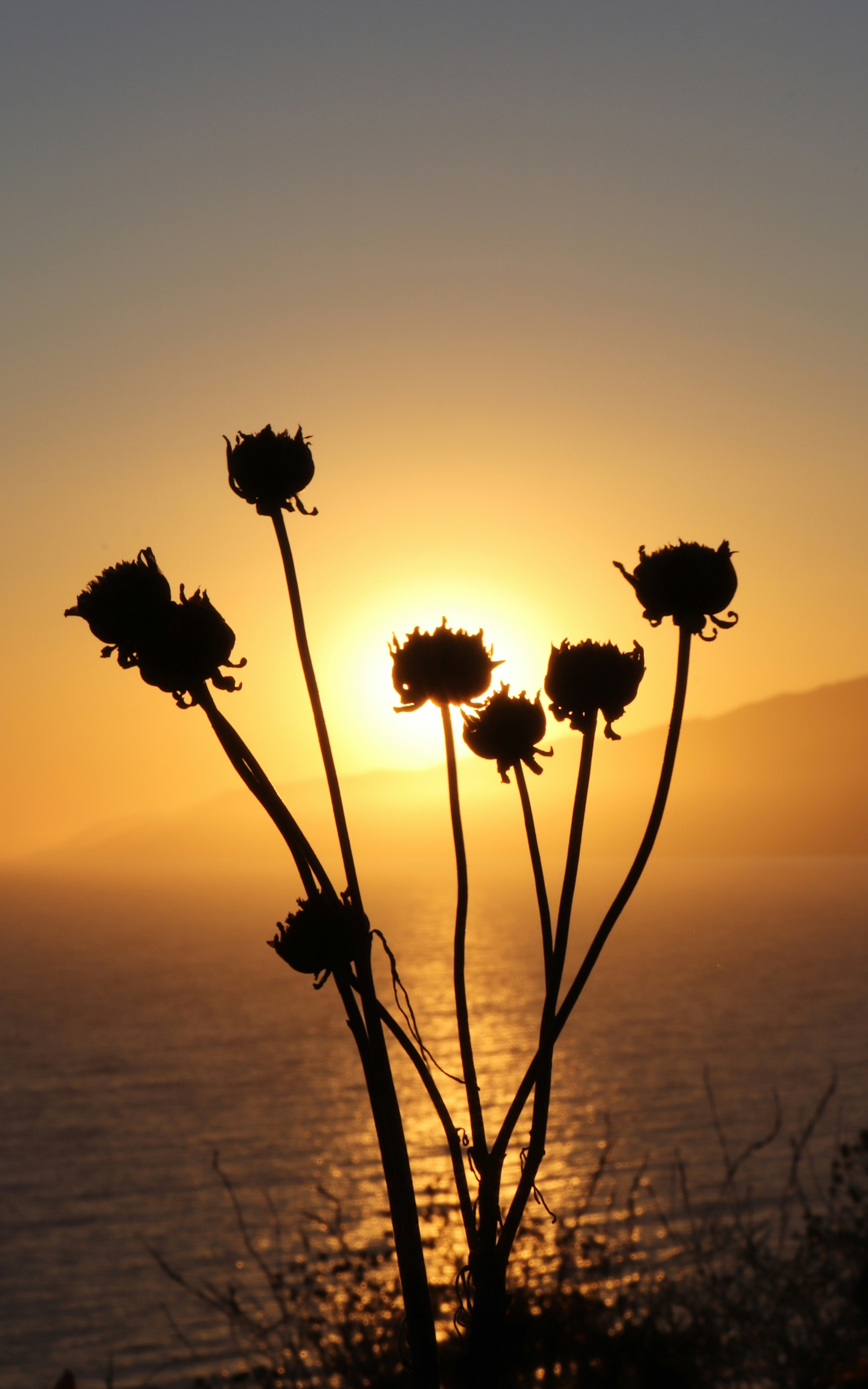 the sun is setting over a body of water