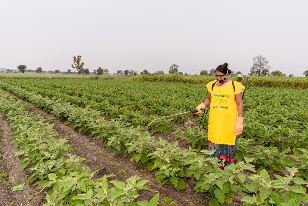 a woman in a field spraying pest on a plant