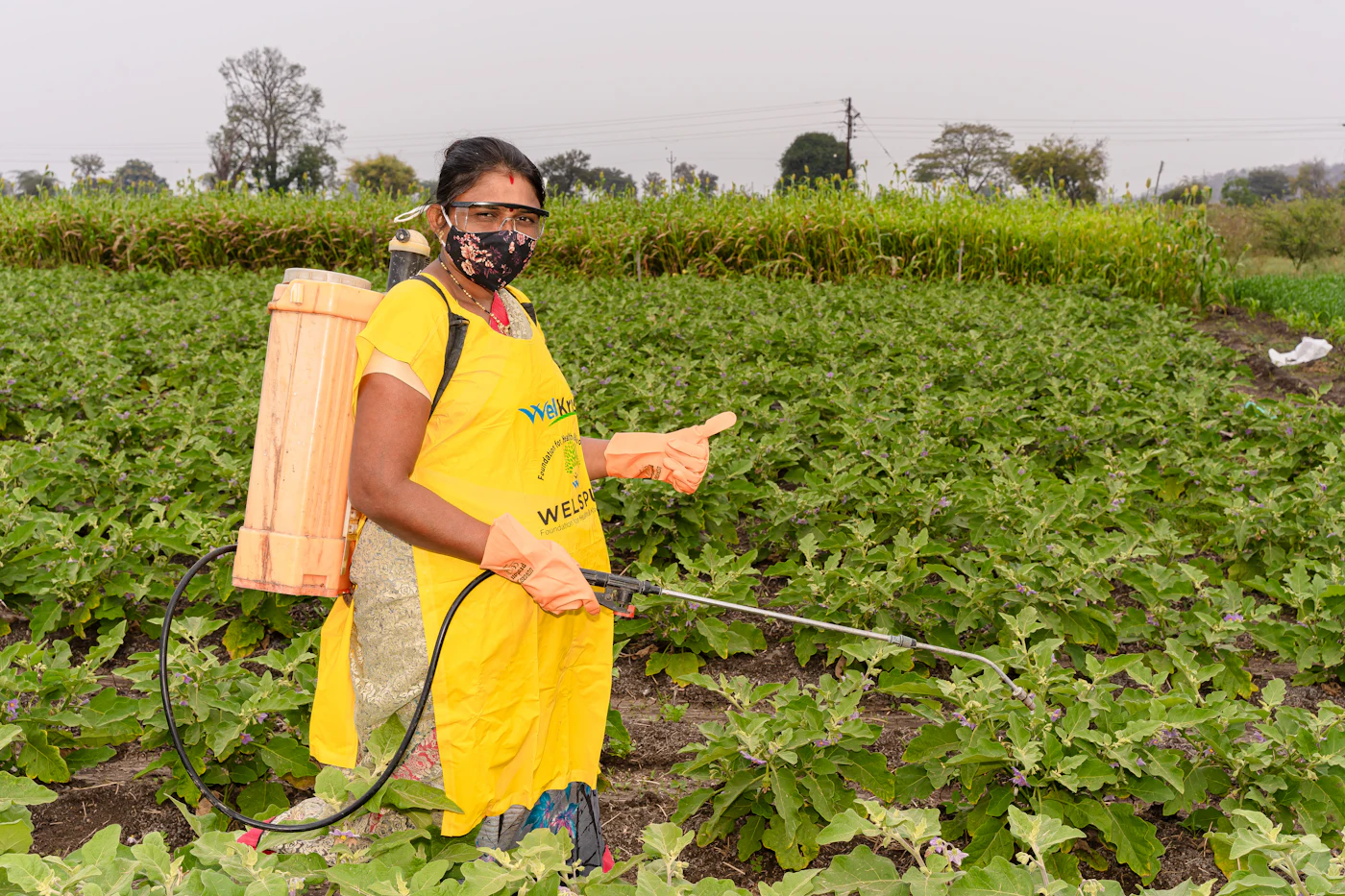 Farm worker using a sprayer in a crop field