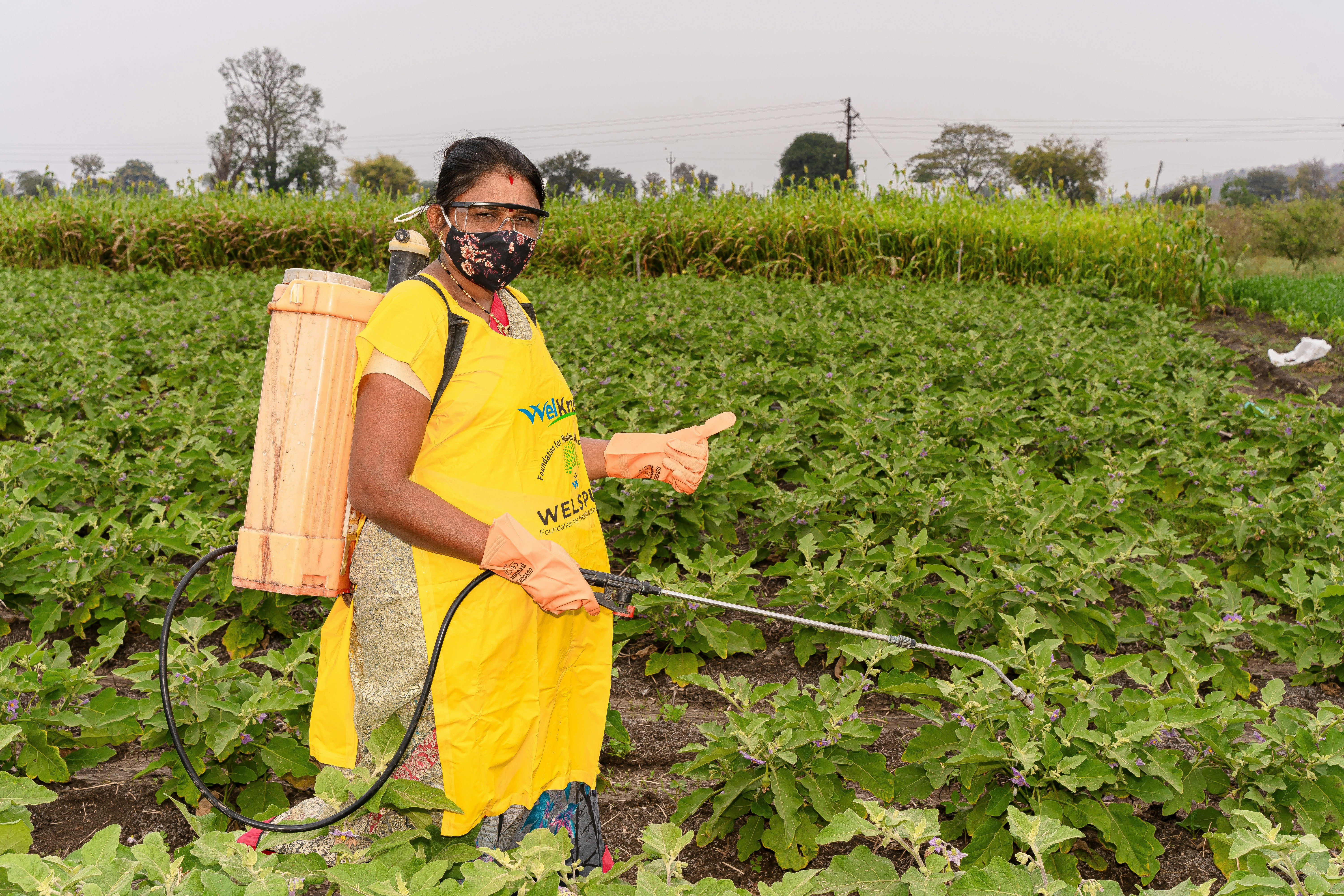 Beyond the Tumor: What Emerging Research Reveals About Glyphosate's Broader Physiological Footprint