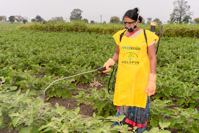 a woman in a yellow apron is spraying water on a field