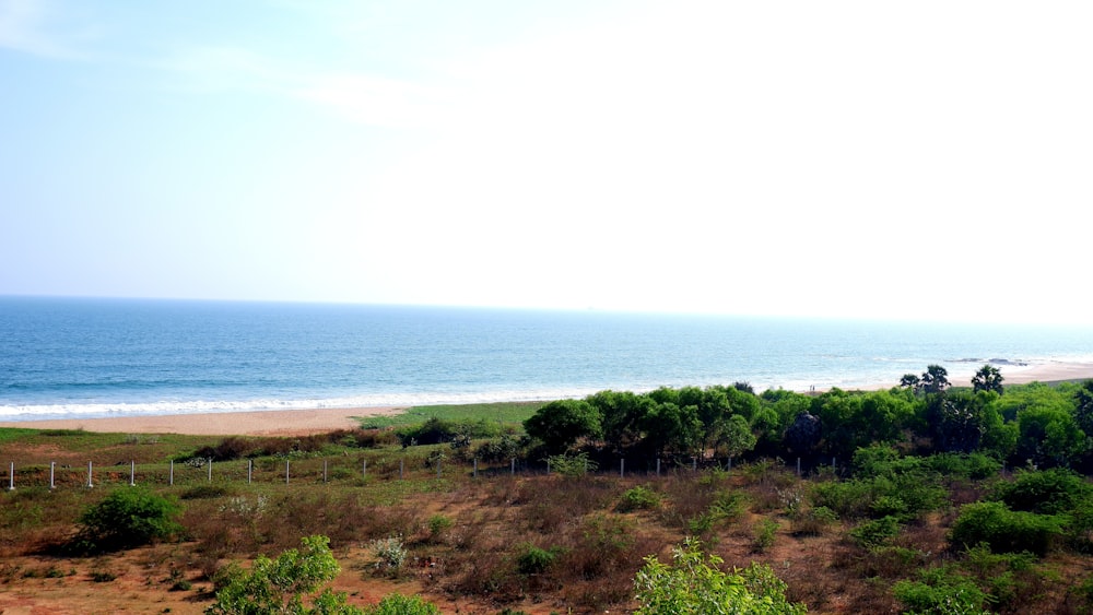 a large body of water sitting next to a lush green field